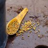 an image of Palm Fertiliser in a scoop ready for potting up