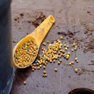 an image of Palm Fertiliser in a scoop ready for potting up