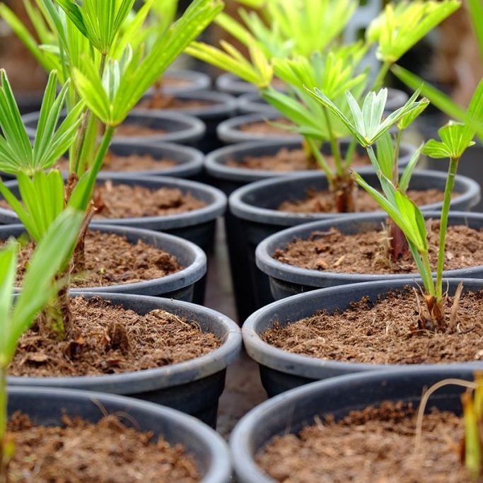 inside the nursery